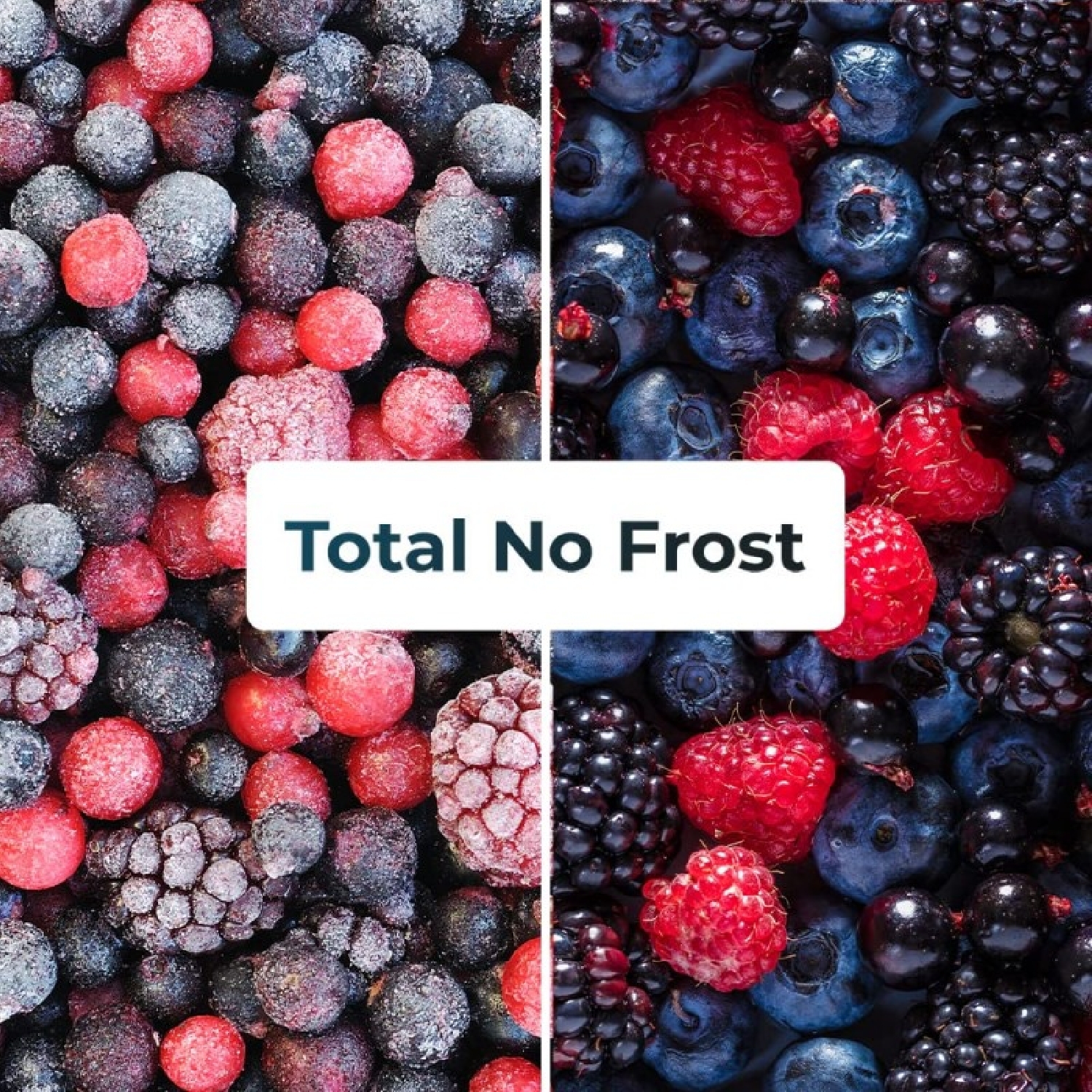 Bolero CoolMarket Combi 322 Inox D - Imagen 3