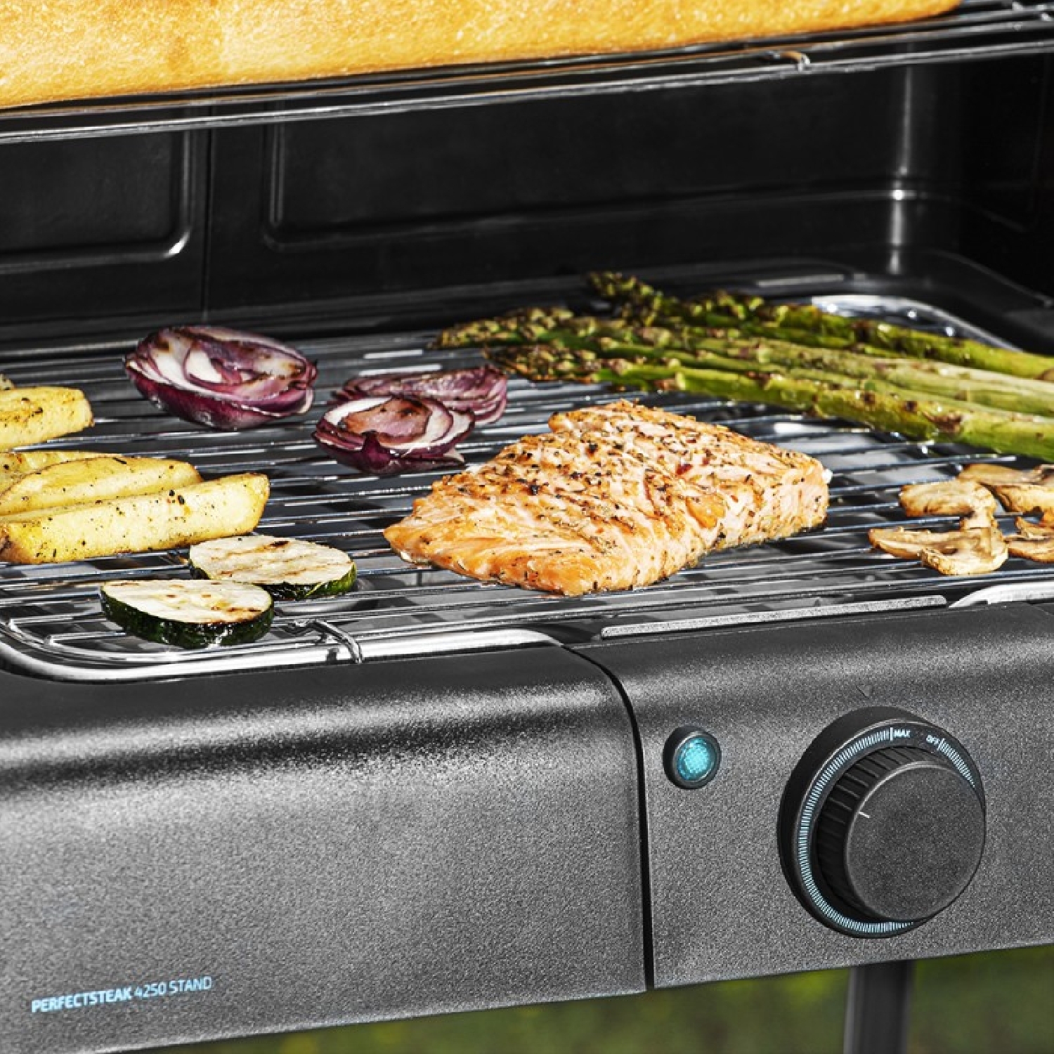 Barbacoa Perfectsteak 4250 Stand - Imagen 5