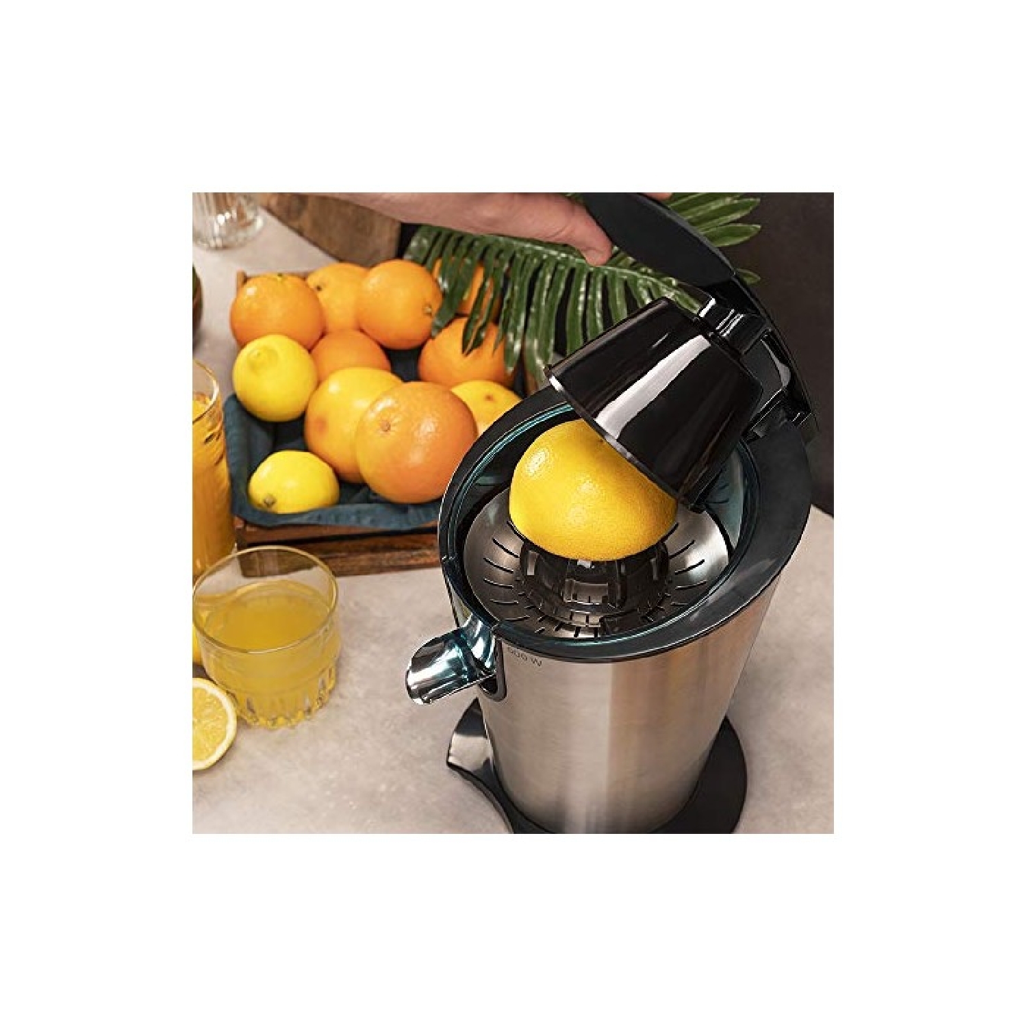 EssentialVita PowerFresh 600 Inox - Imagen 2