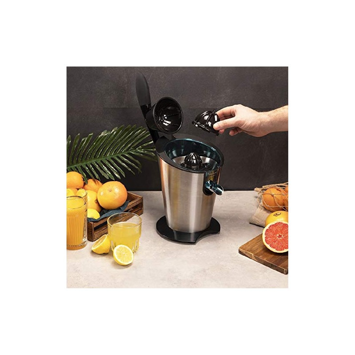 EssentialVita PowerFresh 600 Inox - Imagen 5