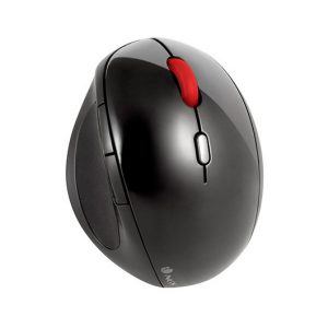 RATON OPTICO INALAMBRICO NGS EVOERGO ERGONOMICO / HASTA 10M