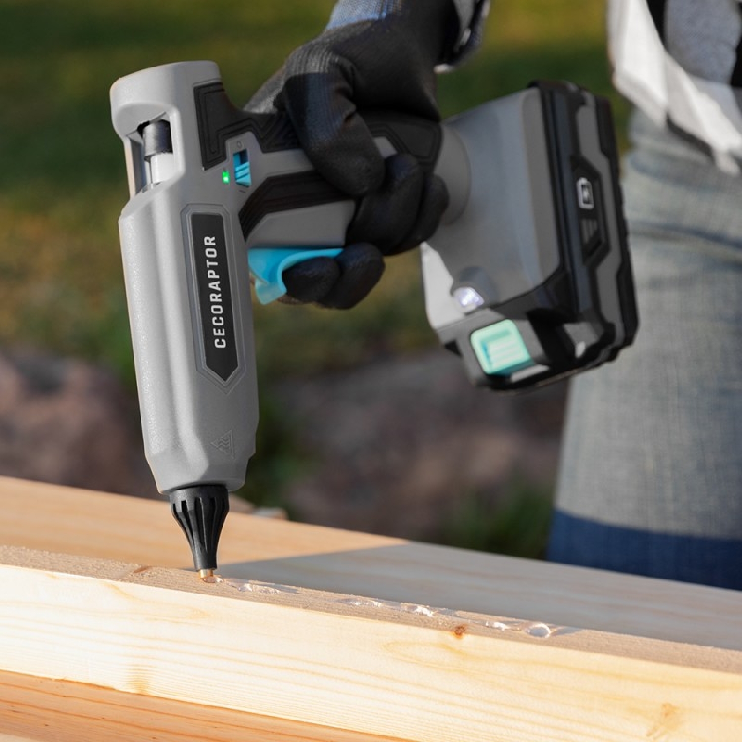 CecoRaptor Perfect Fix 2020 Advance - Imagen 2