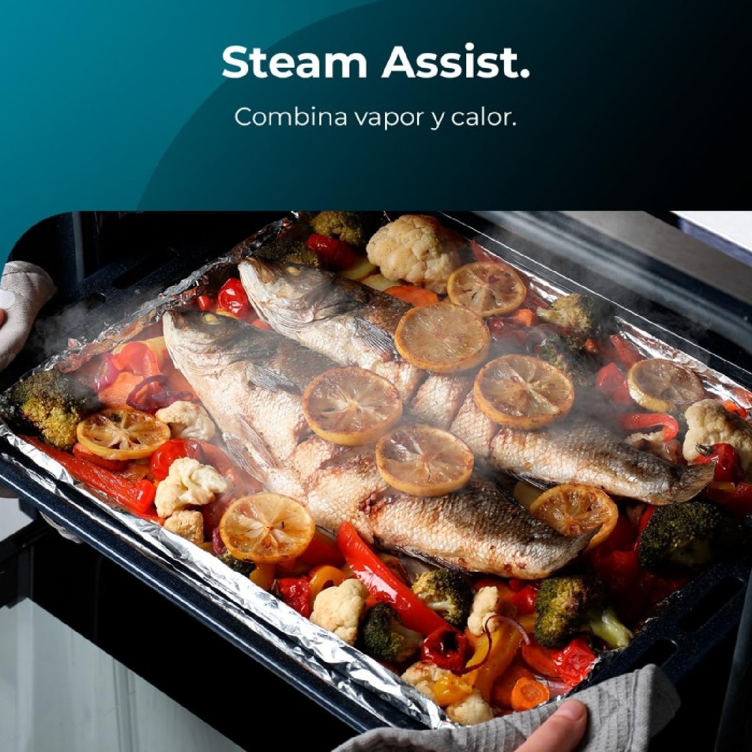 Bolero Hexa M226000 Inox A - Imagen 5