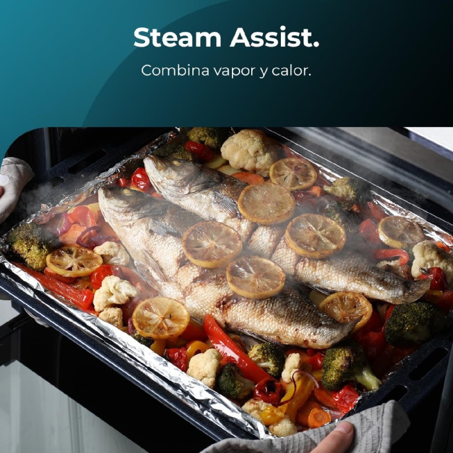 Bolero Hexa M226000 Glass White A - Imagen 5