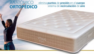 Colchón Venus | Muelles Ensacados 32 cm de Lujo Anatómico